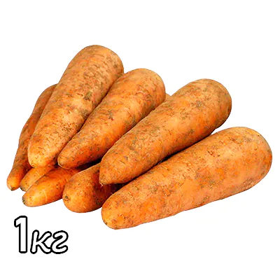 Морковь
