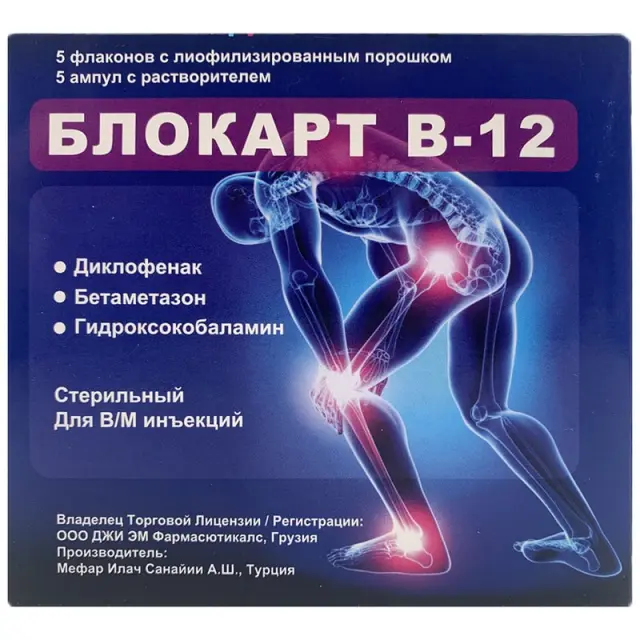 Блокарт В-12 амп №6